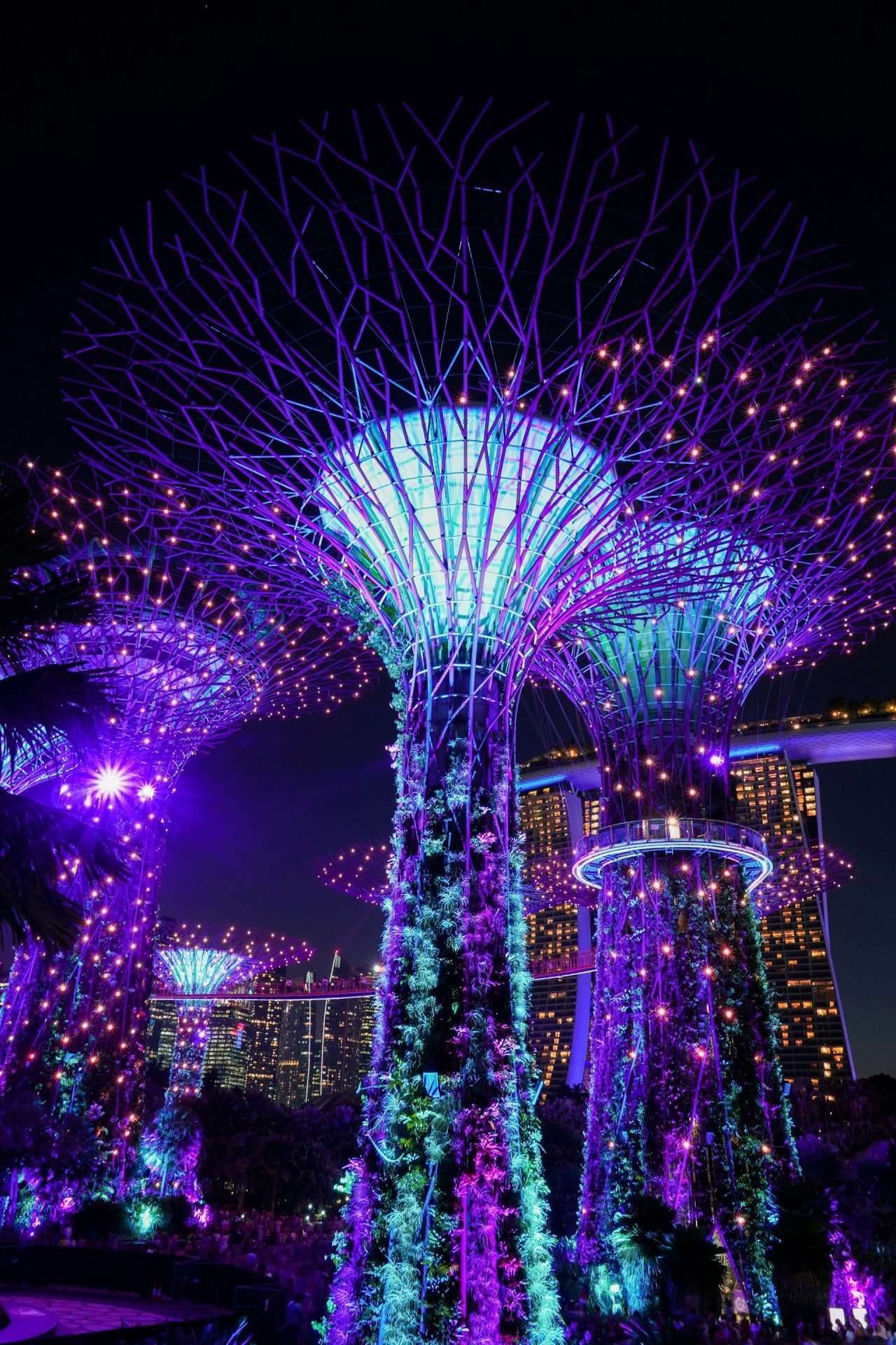 Gardens by the Bay Tickets – Flower Dome + Cloud Forest with Jurassic World: The Experience